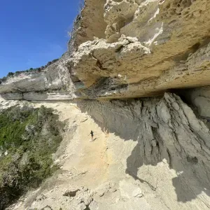 recherche femme de ménage sérieuse .