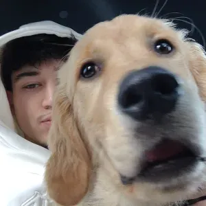 babysitter e dogaitter a cornuda