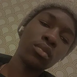 Pet sitting em Aveiro, durante a semana em Aveiro 