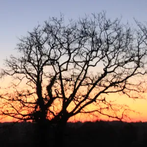 Je recherche une baby sitter