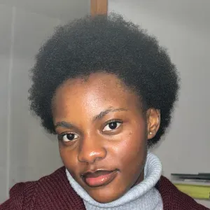 Baby-Sitter expérimentée (Angers)