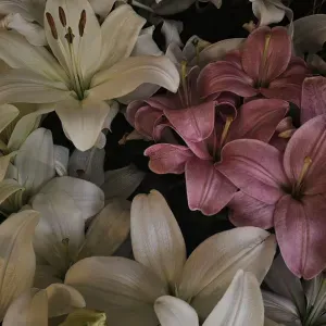 Baby-sitter expérimentée à Lilas 