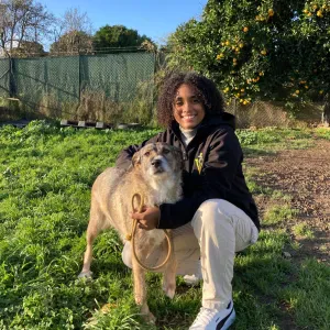 Petsiting no Porto 🐶🐱🐭🐾🦜🐢...