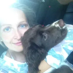 Lavoro pulizie Pesaro