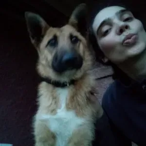 Pet sitter em Agueda e arredores