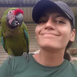 CHLOE PETSITTING - La Réunion