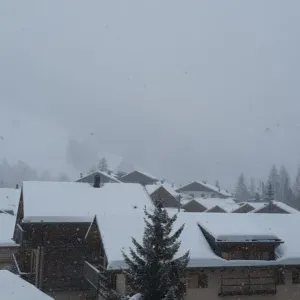 cerco servizio di pulizia domestica