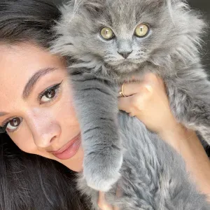 Pet sitter chat et chien à Beausoleil