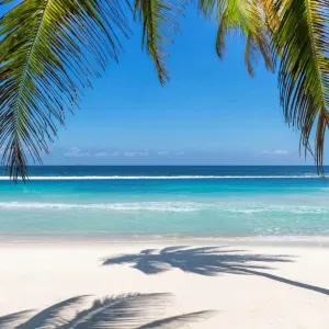 Accompagnement enfant asperger et TDAH âgé de 11 ans