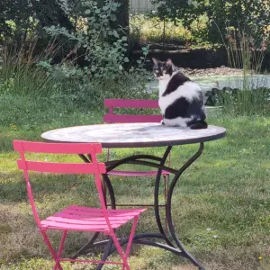 Je cherche un(e) petsitter près de chez moi