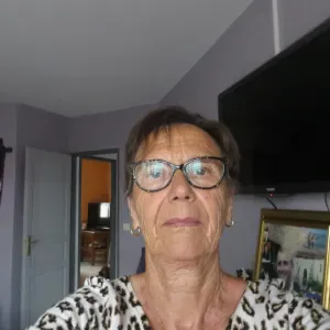 garde de chiens a proximite de Luneville