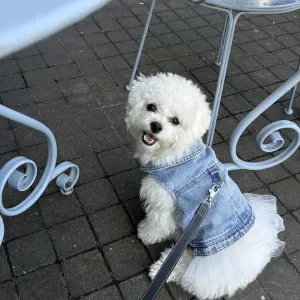 Ho un piccolo appartamento, serve la pulizia spesso