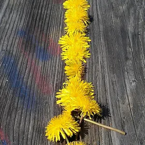 Emploi de baby-sitter Chambly