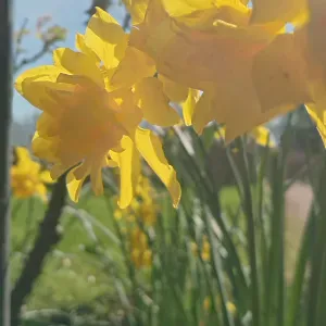 aide ménagère Beauvais (Oise 60000)