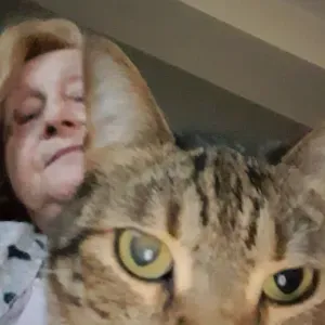 Servizio pulizie in casa