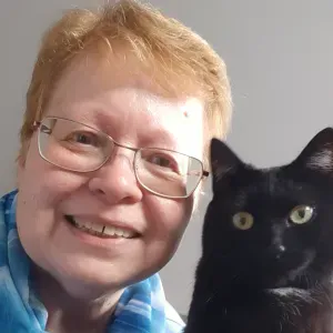 4h de ménage par semaine