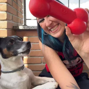 Pet sitting a Rovello porro e dintorni