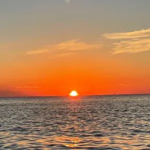 Cours particuliers à distance 