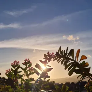 Je cherche un(e) aide ménagère près de chez moi