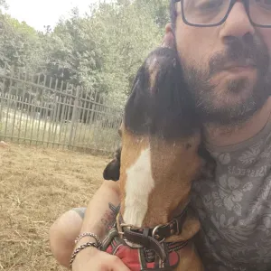 Pet-Sitter à Case-de-Pène et alentours 