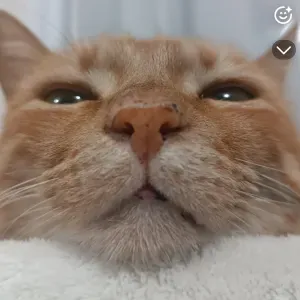 Je voudrais travailler pendant les vacances et mes weekends 