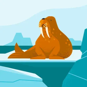 Jeune aide à domicile disponible – 17 ans