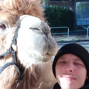 Promenade et garde d'animaux a cahors 