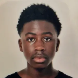 Baby- Sitter expérimenté En Île de France 