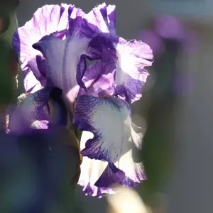 Aide ménagère Seignosse