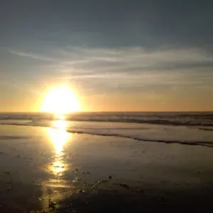 Propose mes services pour l'entretien de votre domicile