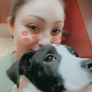 Hunde Babysitter mit viel Freude