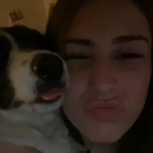 Baby sitting dans le 74 motivée patiente calme 