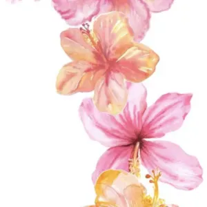 Pet-sitter disponible à Mâcon ! 