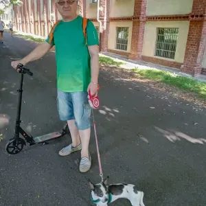 Position for a Petsitter in Collegno