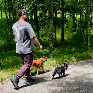Pet Sitting and Walking - Caldas da Rainha