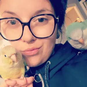 Menage responsable dans le morvan 