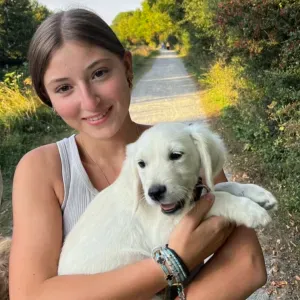 pet sitter dans la métropole lilloise 