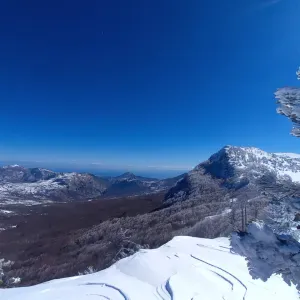 Cerco signora per le pulizie domestiche