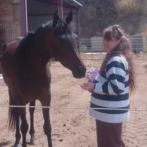 Garde familiale • Chiens, chats & chevaux