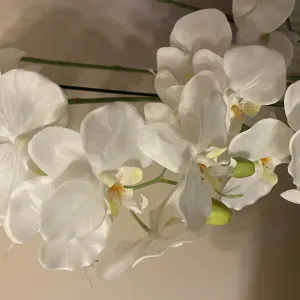 Baby-sitter confirmée et à l'écoute 