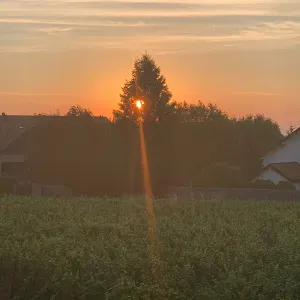 Femme de ménage à Terre Sainte