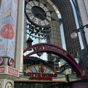 Femme de ménage sérieuse et motivé 