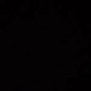 Lavoro come  collaboratrice domestica