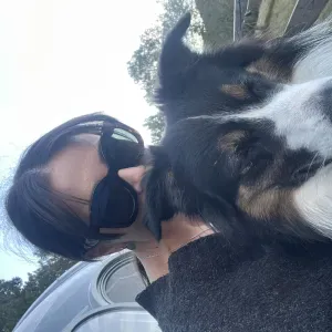 Marine Pet Sitter à Toulouse et sa périphérie 