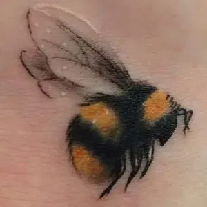 Lavoro per adetto alle pulizie a Peschiera del Garda