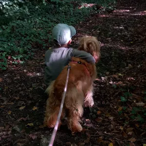 Recherche d'un dogsitter 🐾