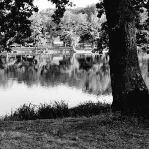 Aide ménagère à Falck et environs