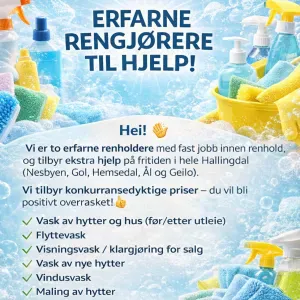 Responsible Cleaner in Hallingdal