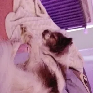 La super canine de Moselle !🐶