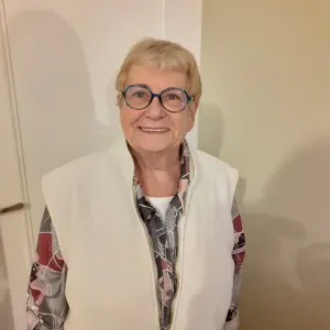 pet sister pour vos compagnons chats et chiens etoiseaux